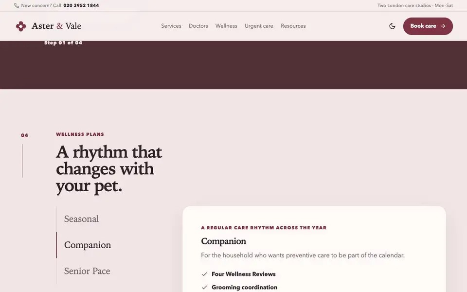 Aster & Vale Veterinary Wellness interior page and content preview
