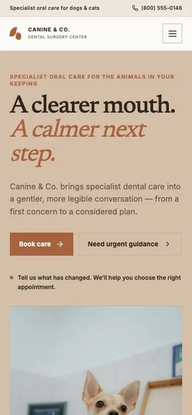 Canine & Co. Dental Surgery Center mobile website preview