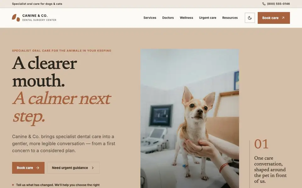 Canine & Co. Dental Surgery Center website screenshot