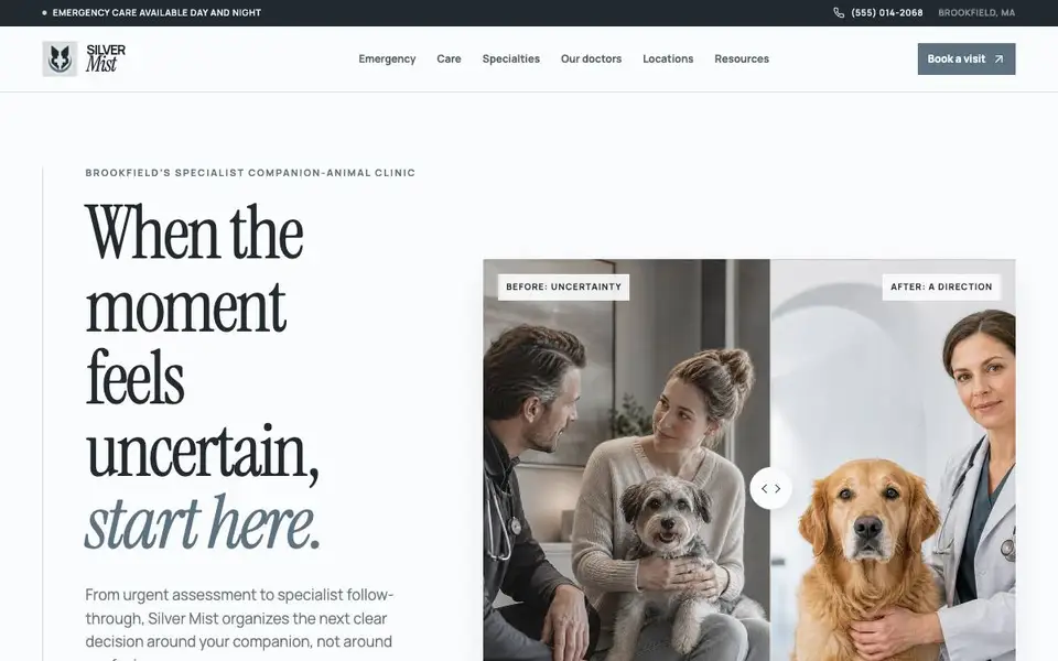 Silver Mist Veterinary Clinic website screenshot