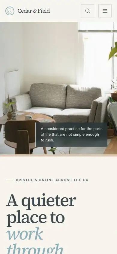 Wl L02 Therapy Practice mobile website preview