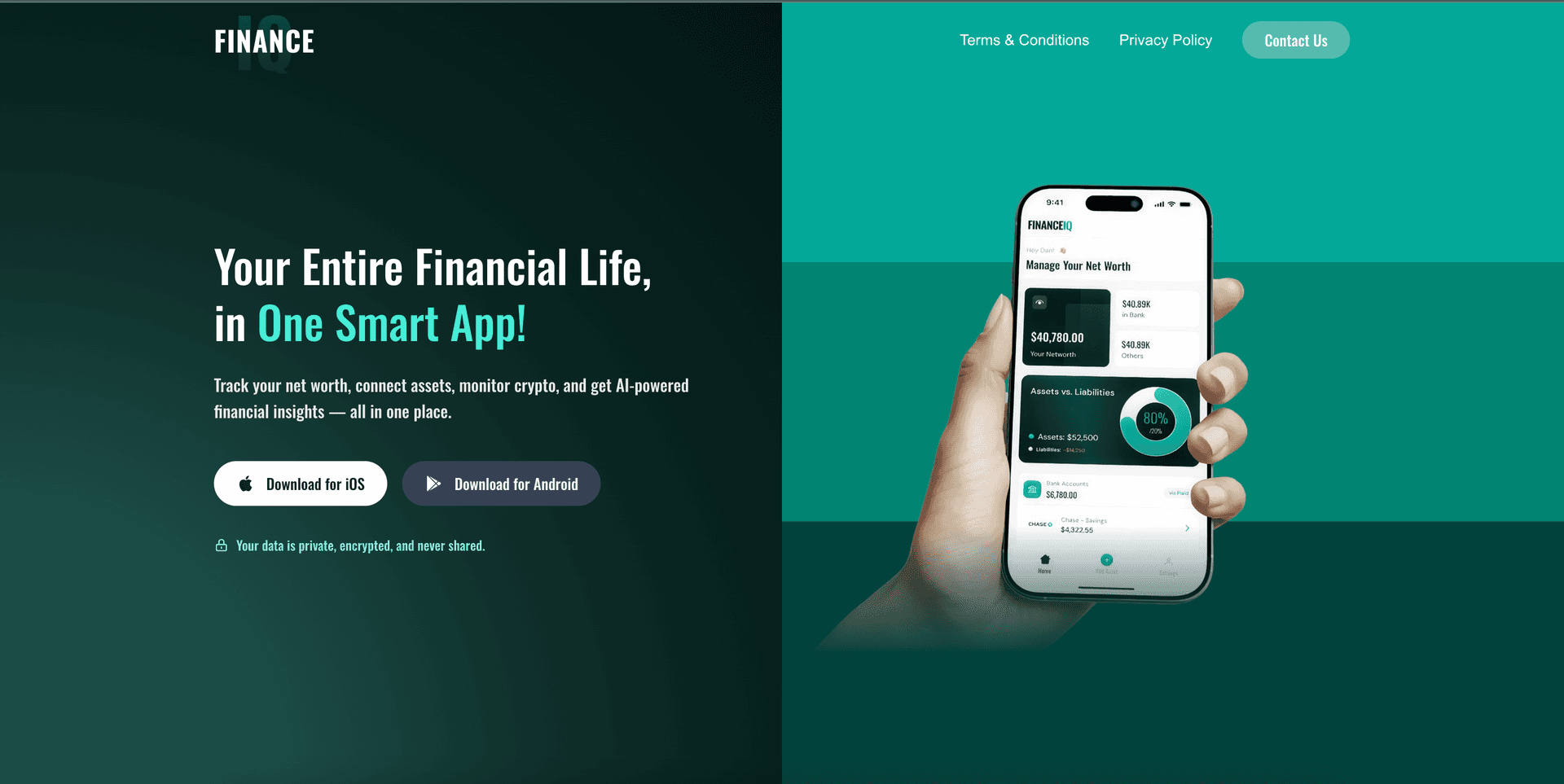 FinanceIQ project preview
